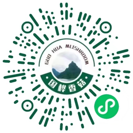 国桦农林科技