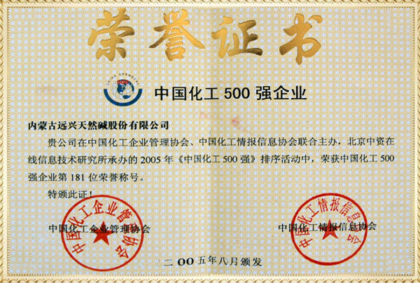 远兴2005年化工500强证书