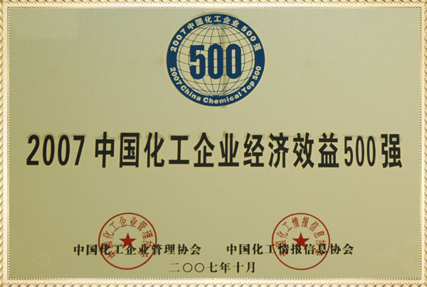 远兴2007年化工企业经济效益500强奖牌