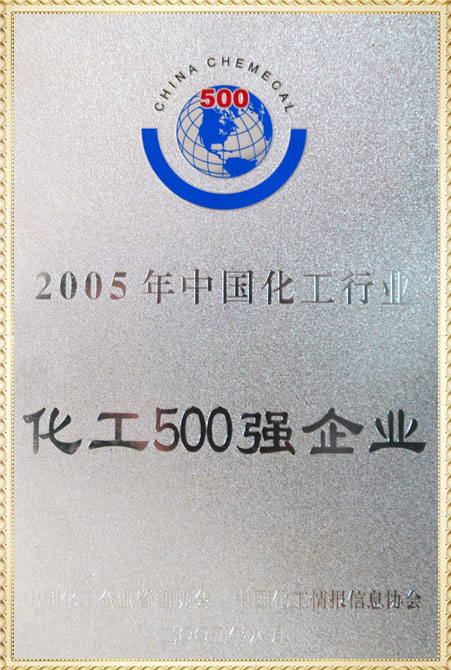 远兴2005年化工500强奖牌