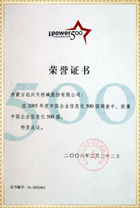 远兴2005年中国企业信息化500强获奖证书