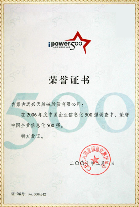 远兴2006年中国企业信息化500强获奖证书