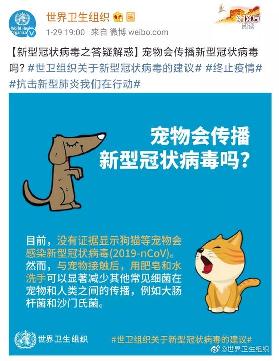 家里的猫狗，会传染新冠状病毒吗？