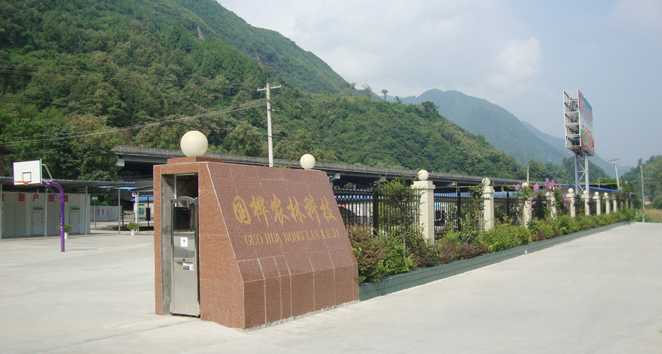 国桦农林科技
