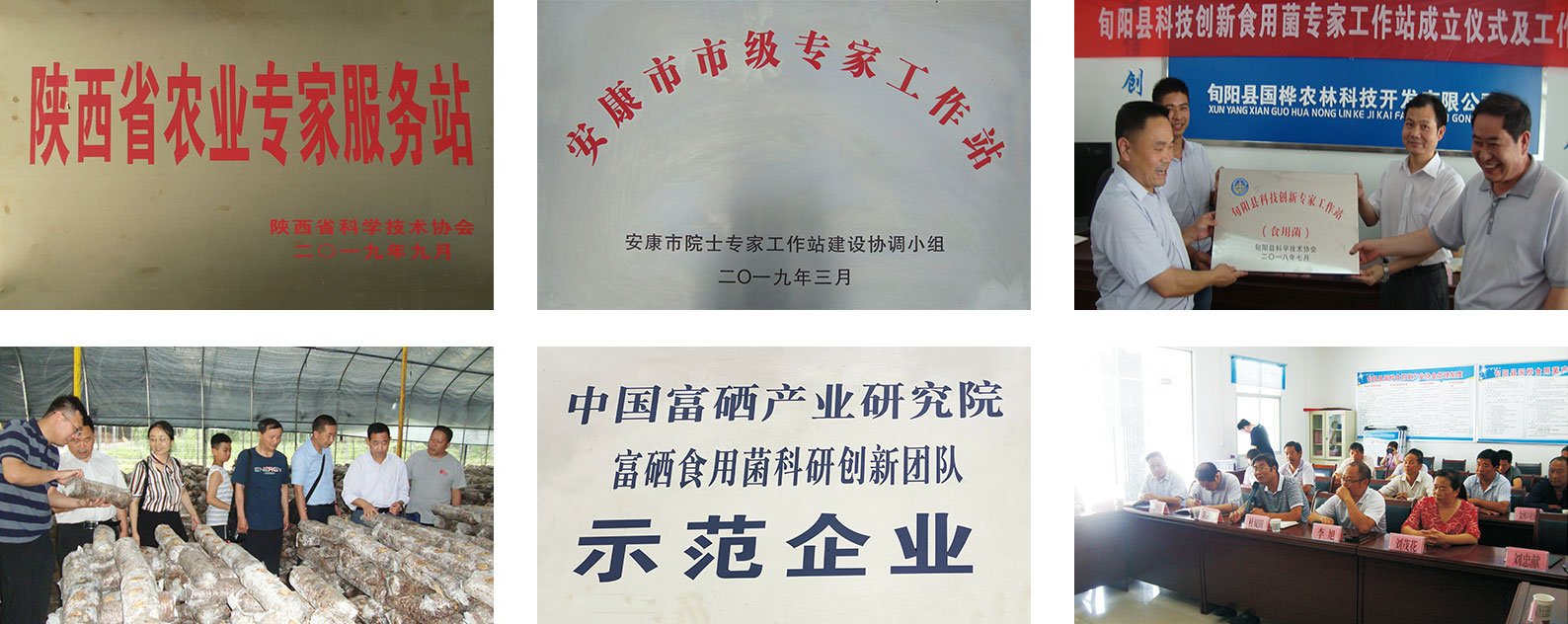 专家工作站站